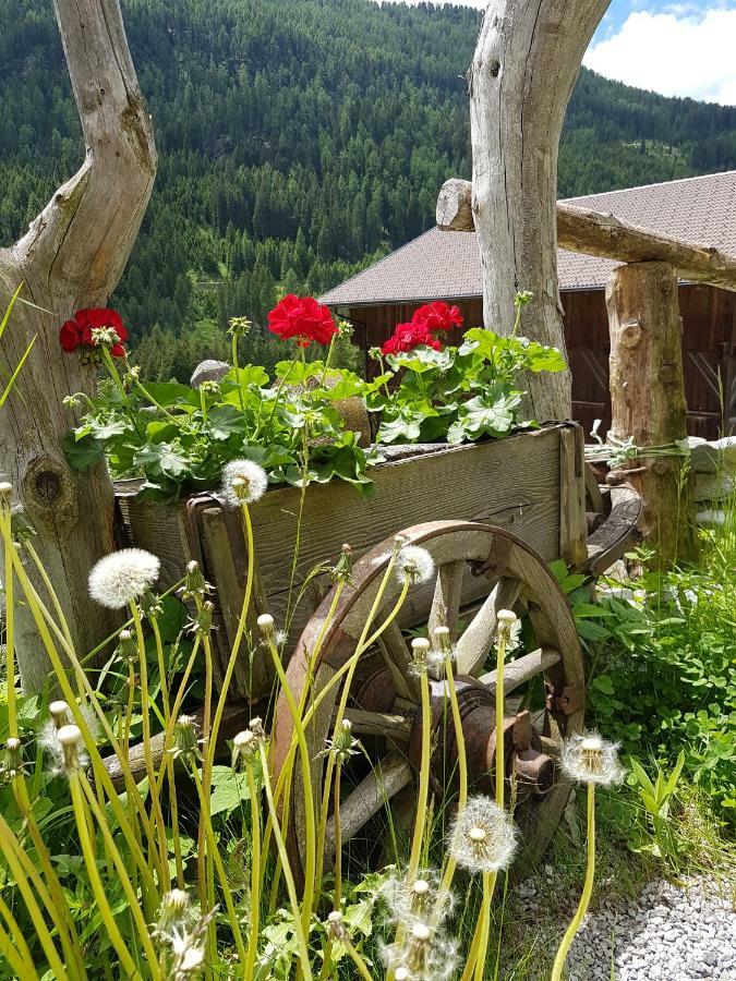 Pension Fuerhapter Mit Bio- Bauernhof Санкт-Якоб-ин-Деферегген Экстерьер фото