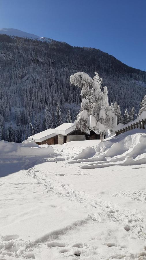 Pension Fuerhapter Mit Bio- Bauernhof Санкт-Якоб-ин-Деферегген Экстерьер фото